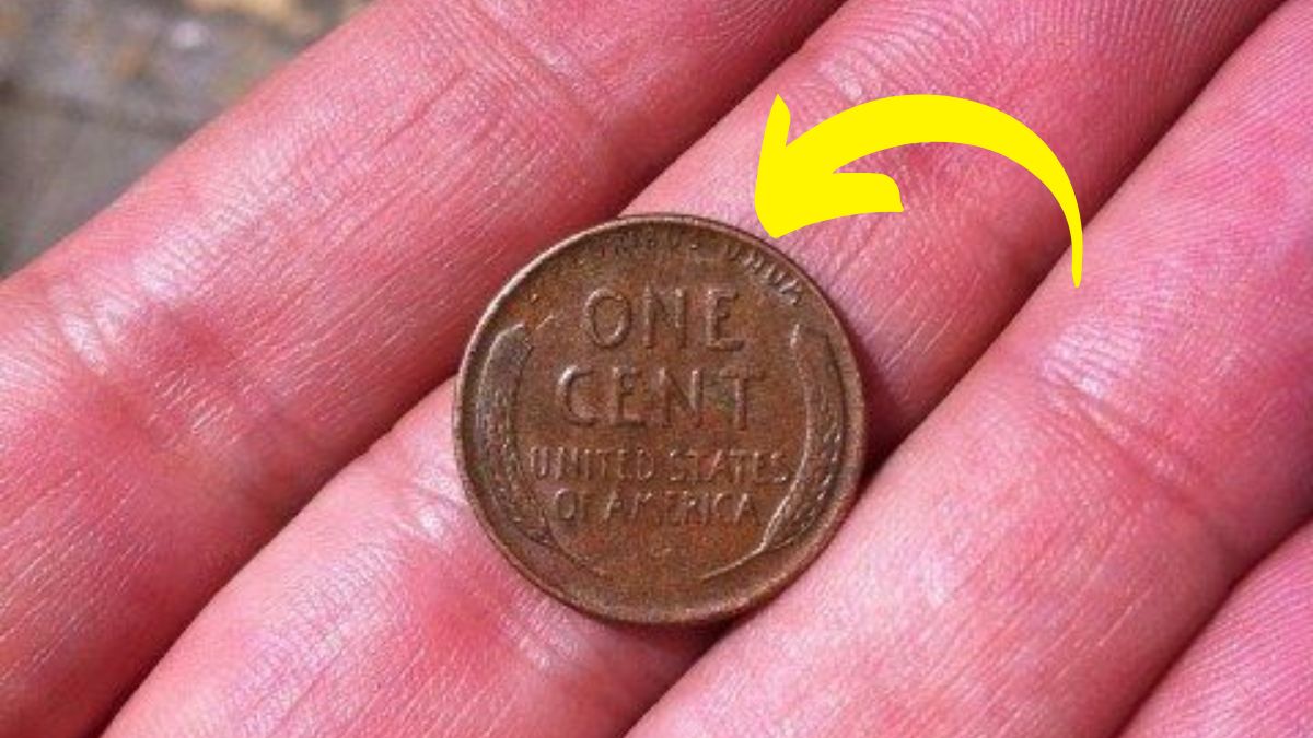 Lincoln Wheat Penny Valued at $510K
