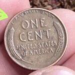 The Lincoln Wheat Penny Worth $500 Million