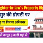 daughter-in-law's property rights