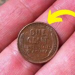 Lincoln Wheat Penny Valued at $1.8 Million