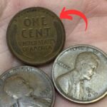 Lincoln Wheat Penny Valued at $11.8 Million