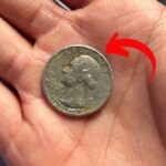 Lincoln Wheat Penny Valued at $12.1 Million