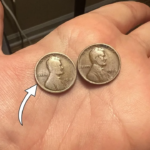 These 5 Rare Lincoln Wheat Penny Coins worth is $250 Million each