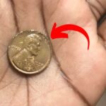 Lincoln Wheat Penny Valued at $800K