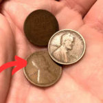The Lincoln Wheat Penny Valued at $211K