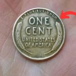 Lincoln Wheat Penny Valued at $600K