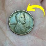The Lincoln Wheat Penny Valued at $99 Million, Still in Circulation