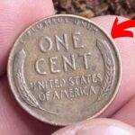 The Lincoln Wheat Penny Valued at $770K