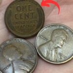 The Lincoln Wheat Penny Valued at $950K