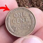 Lincoln Wheat Penny Valued at $8.6 Million